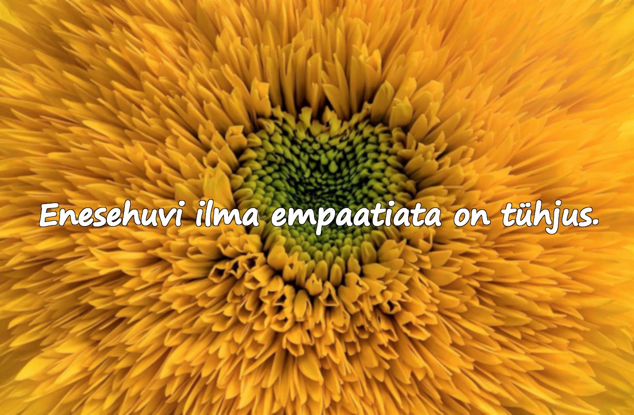 Tsitaadid Isikuhuvi Kohta