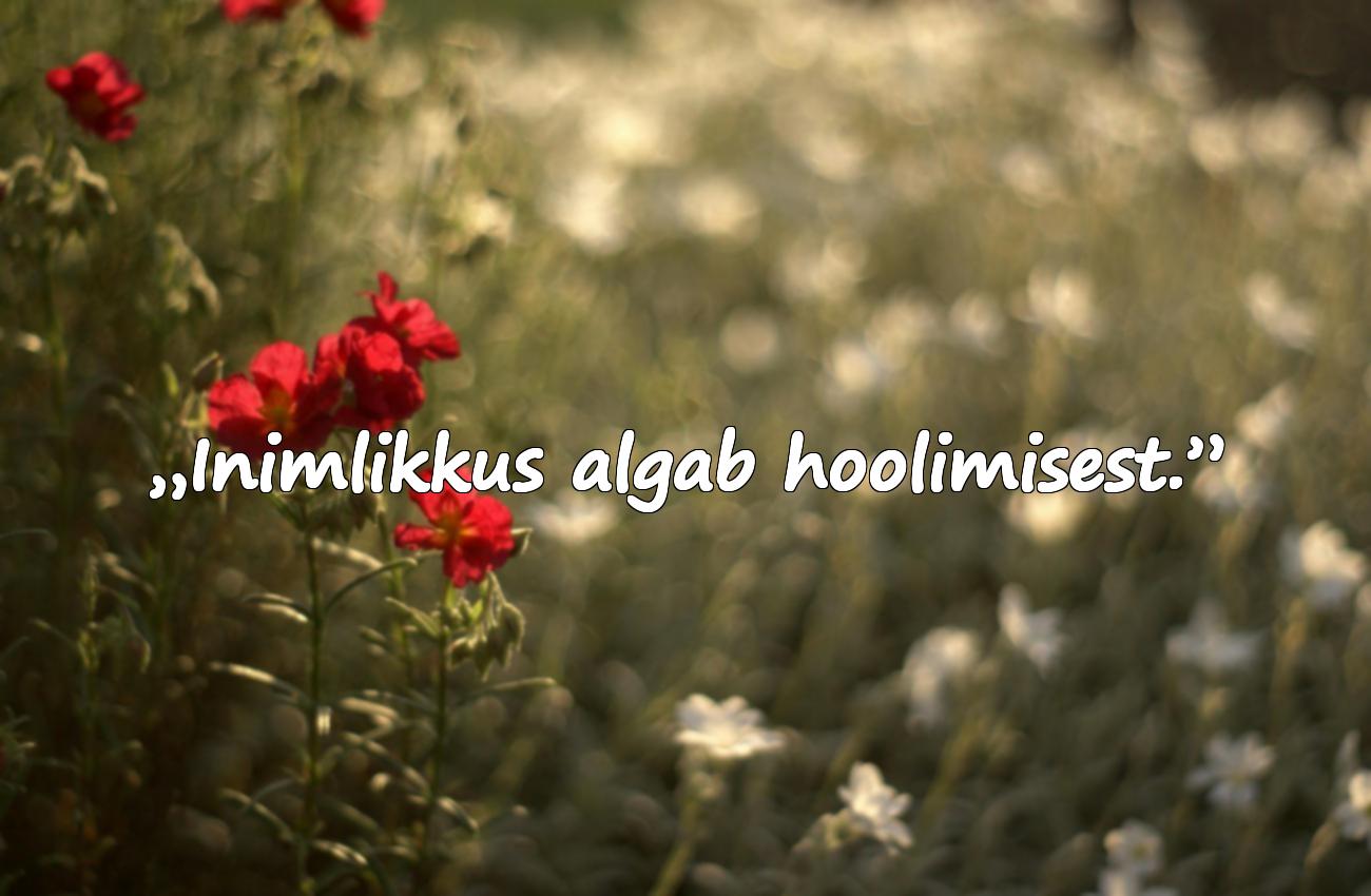 Tsitaadid Kaastunde Kohta