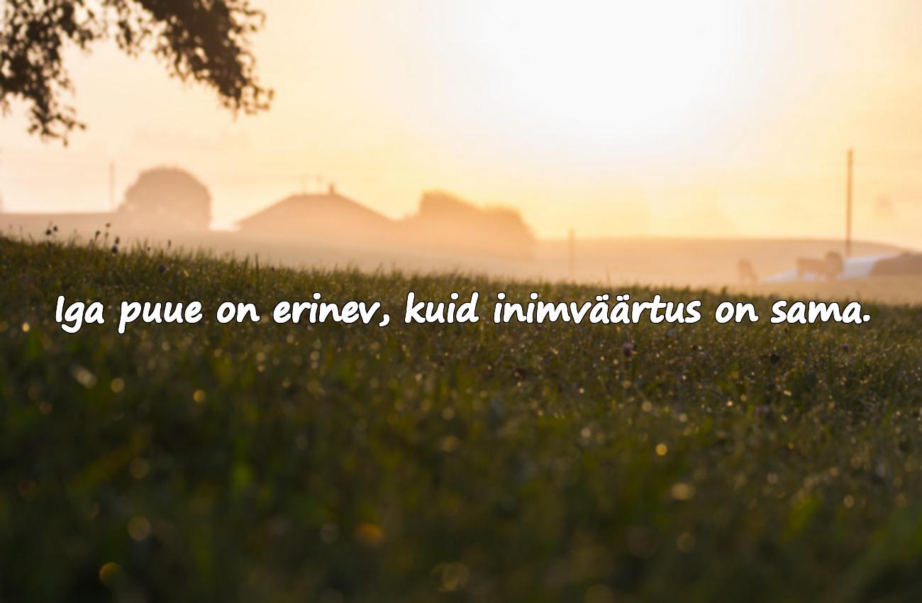 Tsitaadid puuetega inimeste kohta