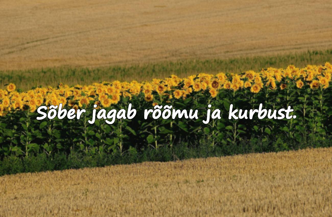 tsitaadid sõprusest