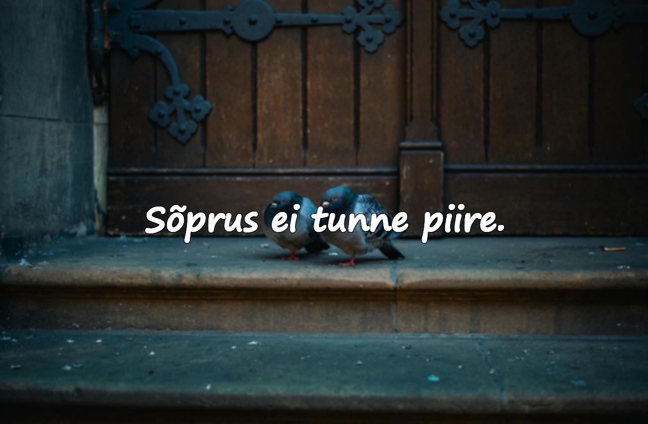 tsitaadid sõprusest