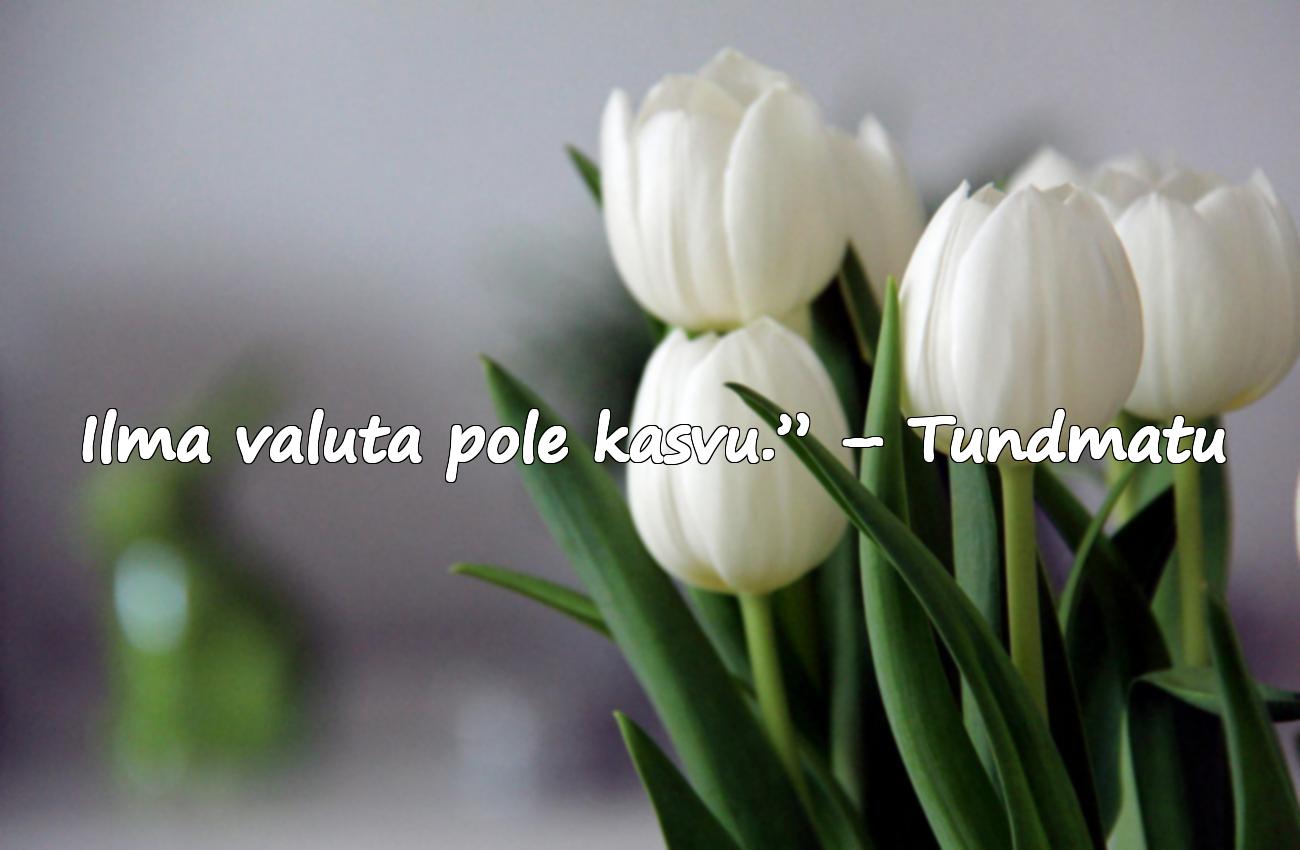 Tsitaadid sportimise kohta