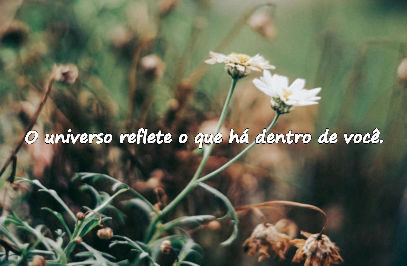 universo das mensagens