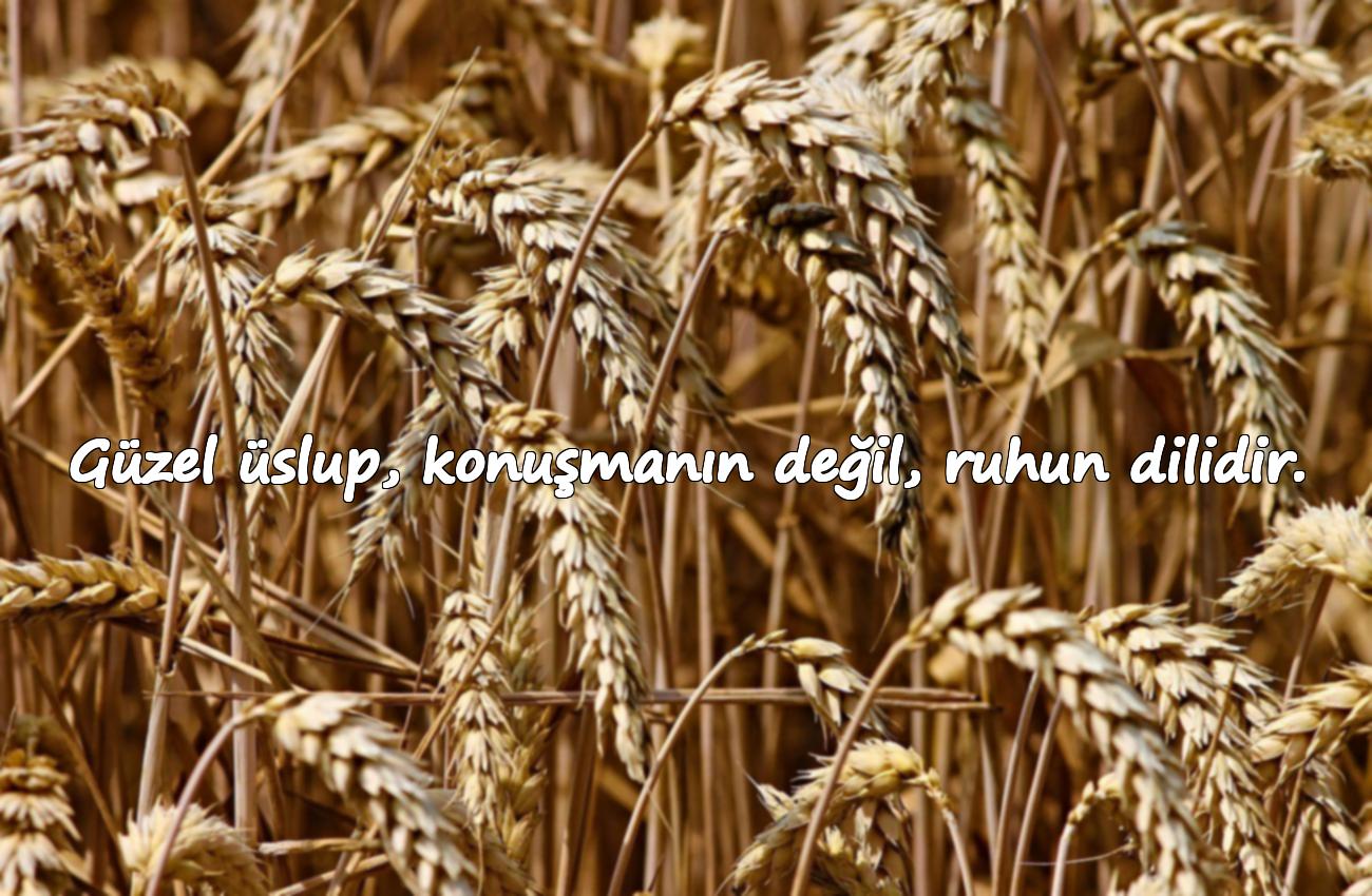 üslup ile ilgili sözler