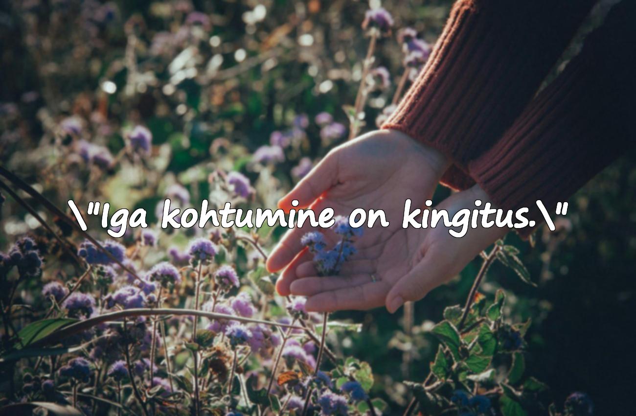 väike prints tsitaadid