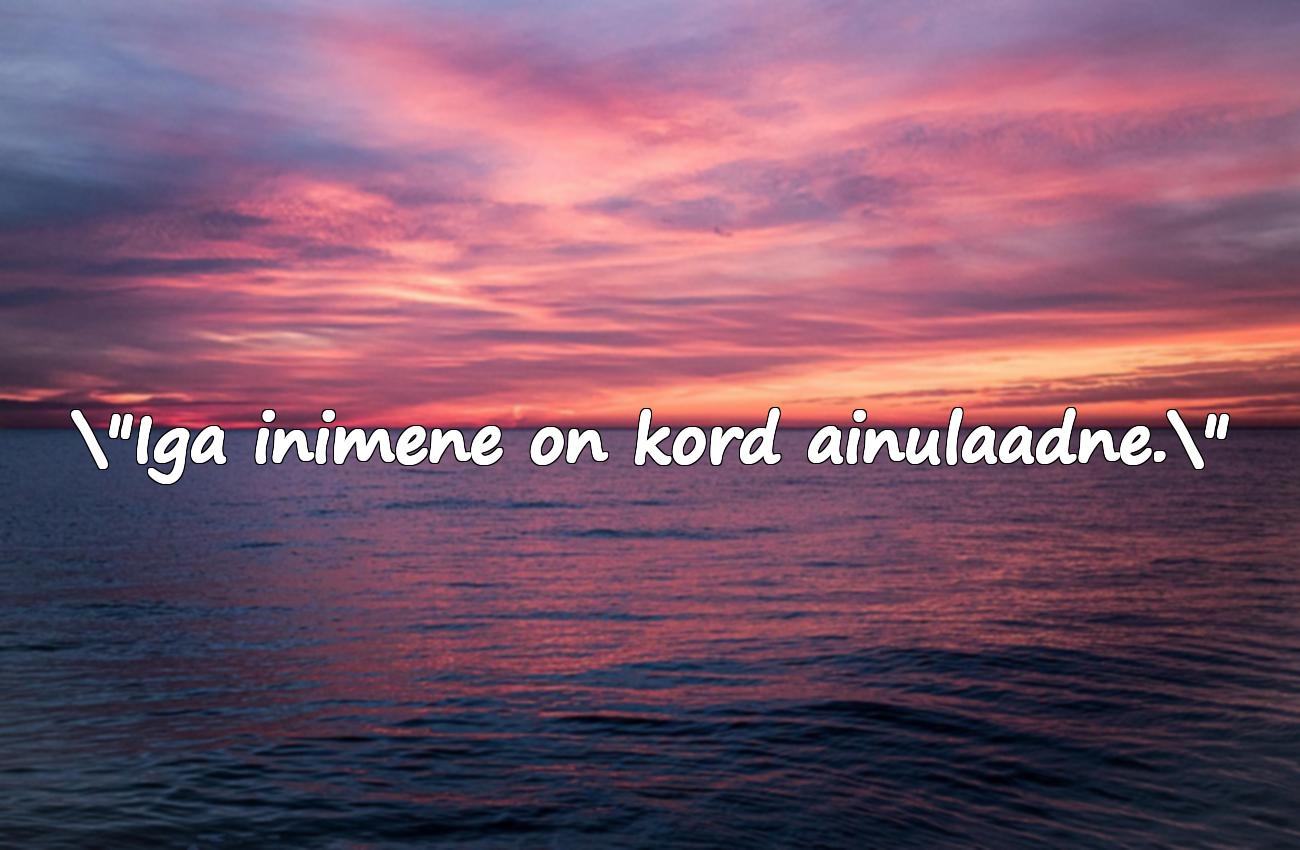 väike prints tsitaadid