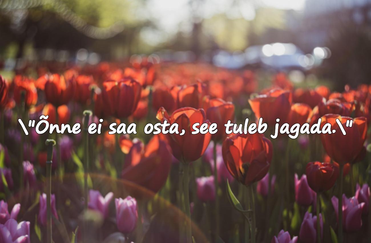 väike prints tsitaadid