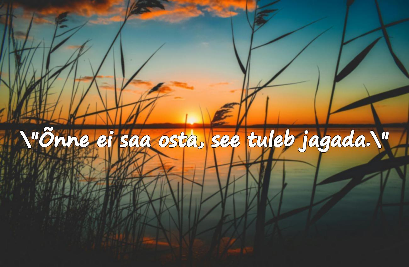 väike prints tsitaadid