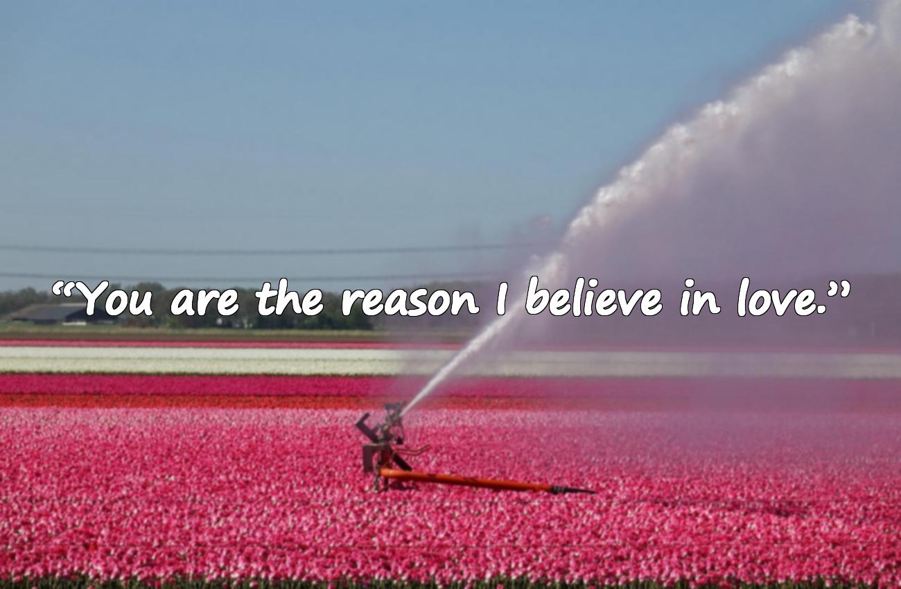 valentine’s day quotes