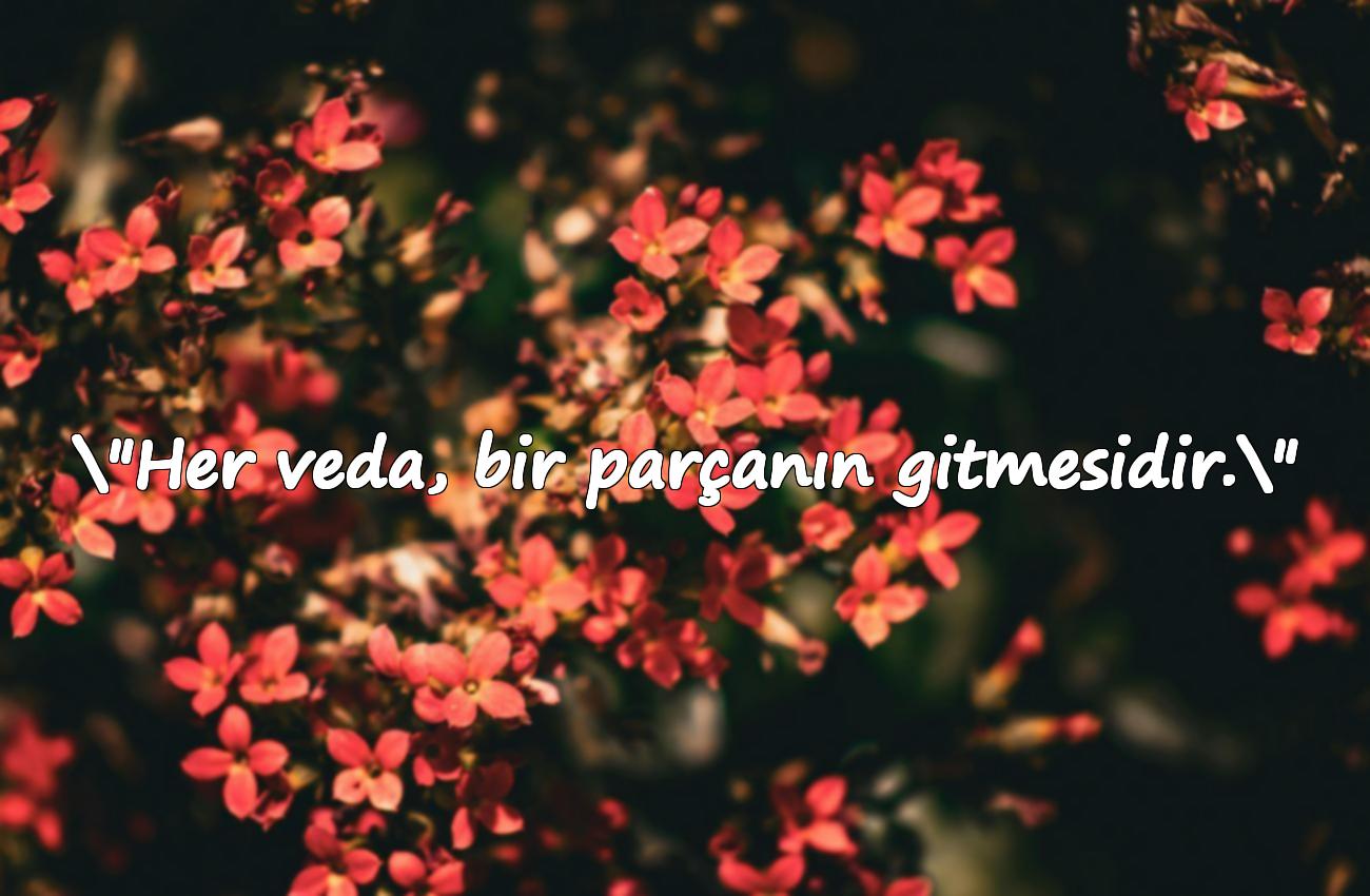 veda ile ilgili sözler