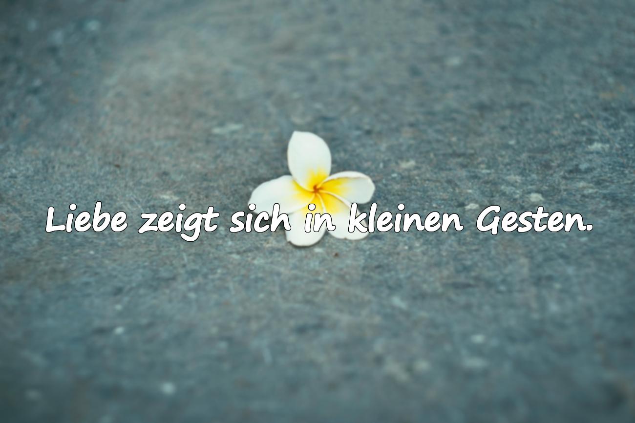 Verliebt Sein Sprüche