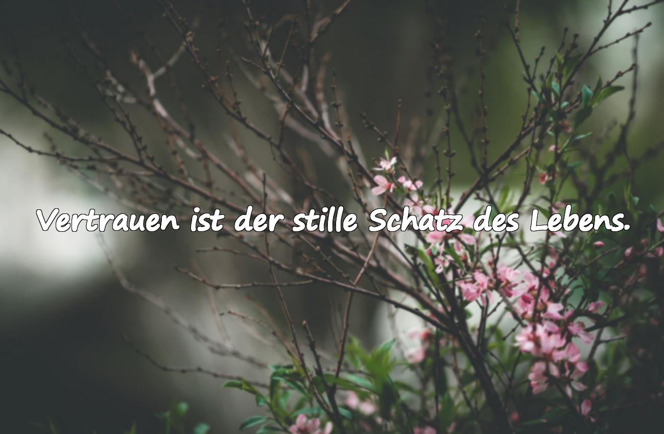Vertrauen – Schöne und Bedeutungsvolle Zitate