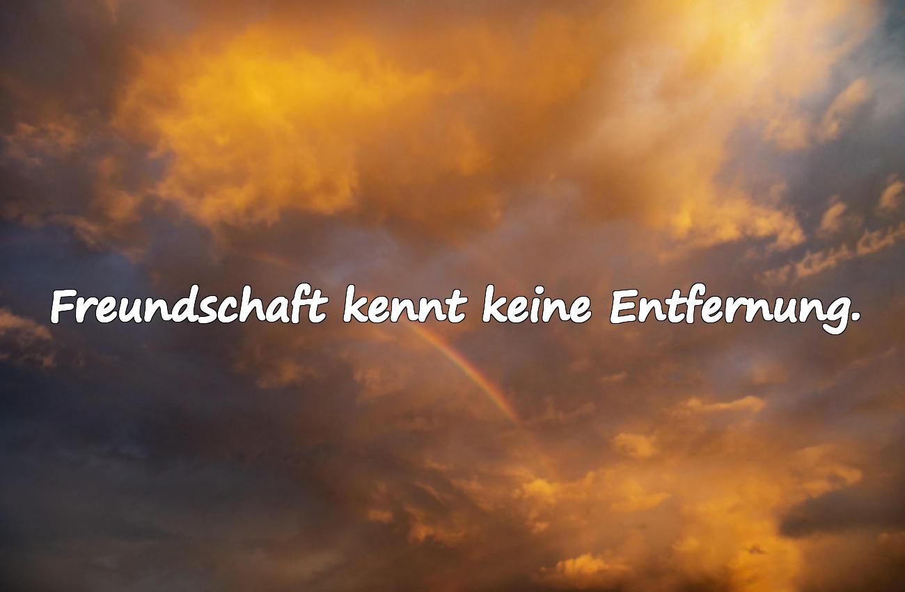 wahre freunde sprüche