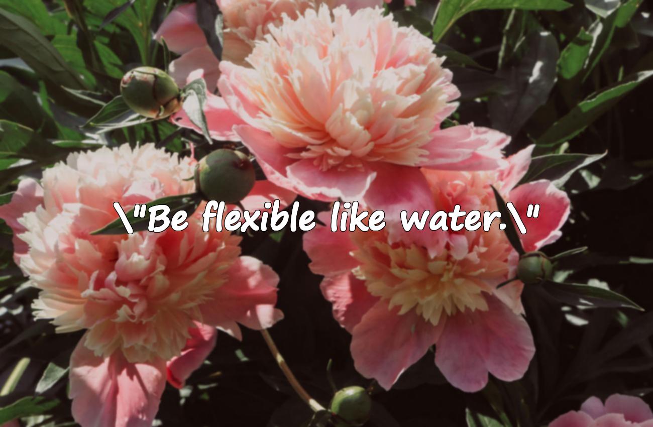 water quotes