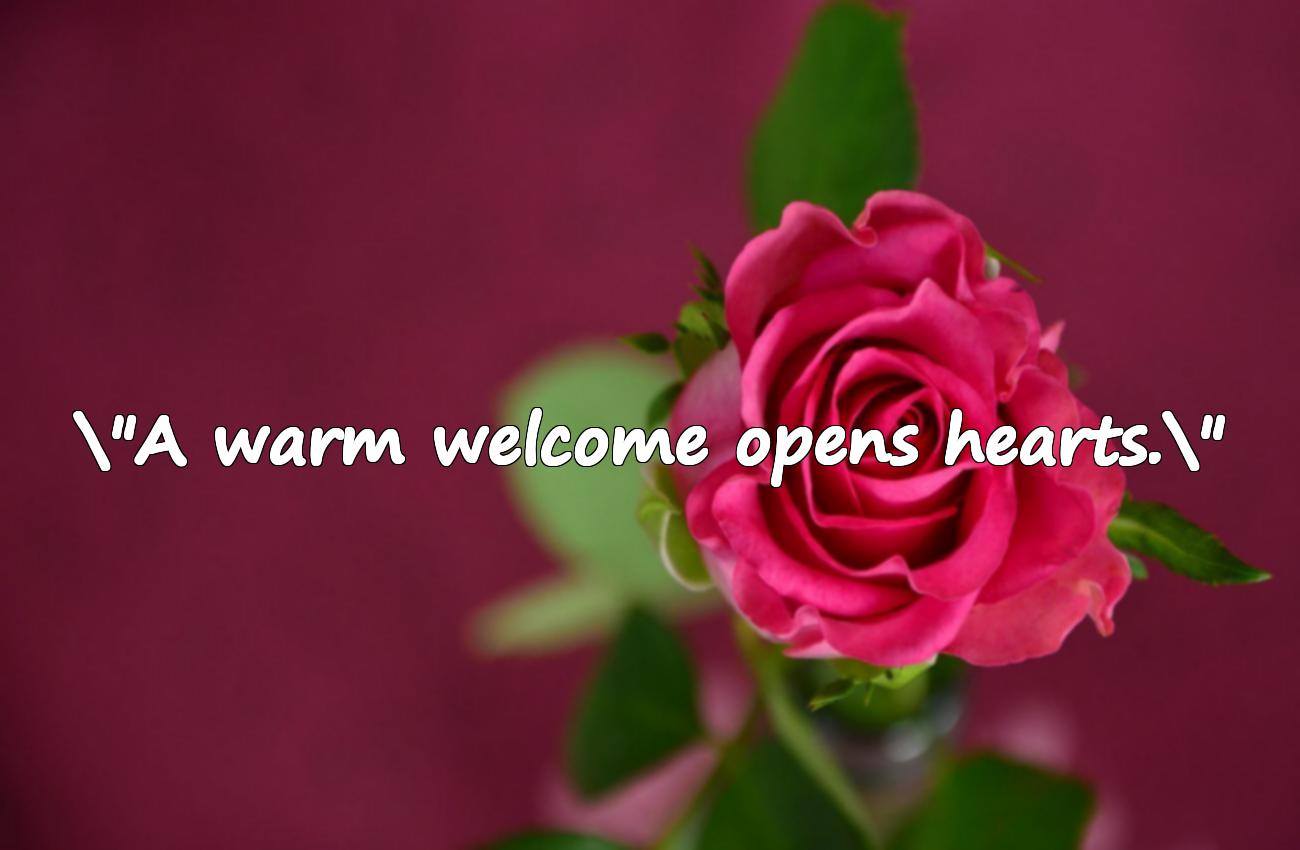 welcome quotes