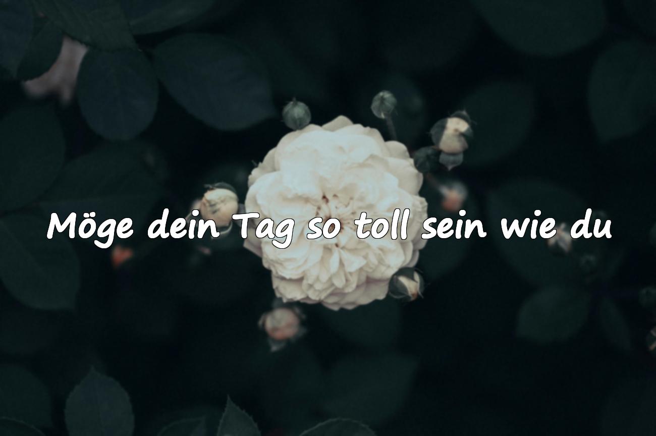 whatsapp geburtstagswünsche