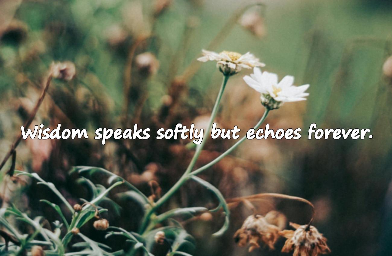 Wisdom Inspirational Quotes