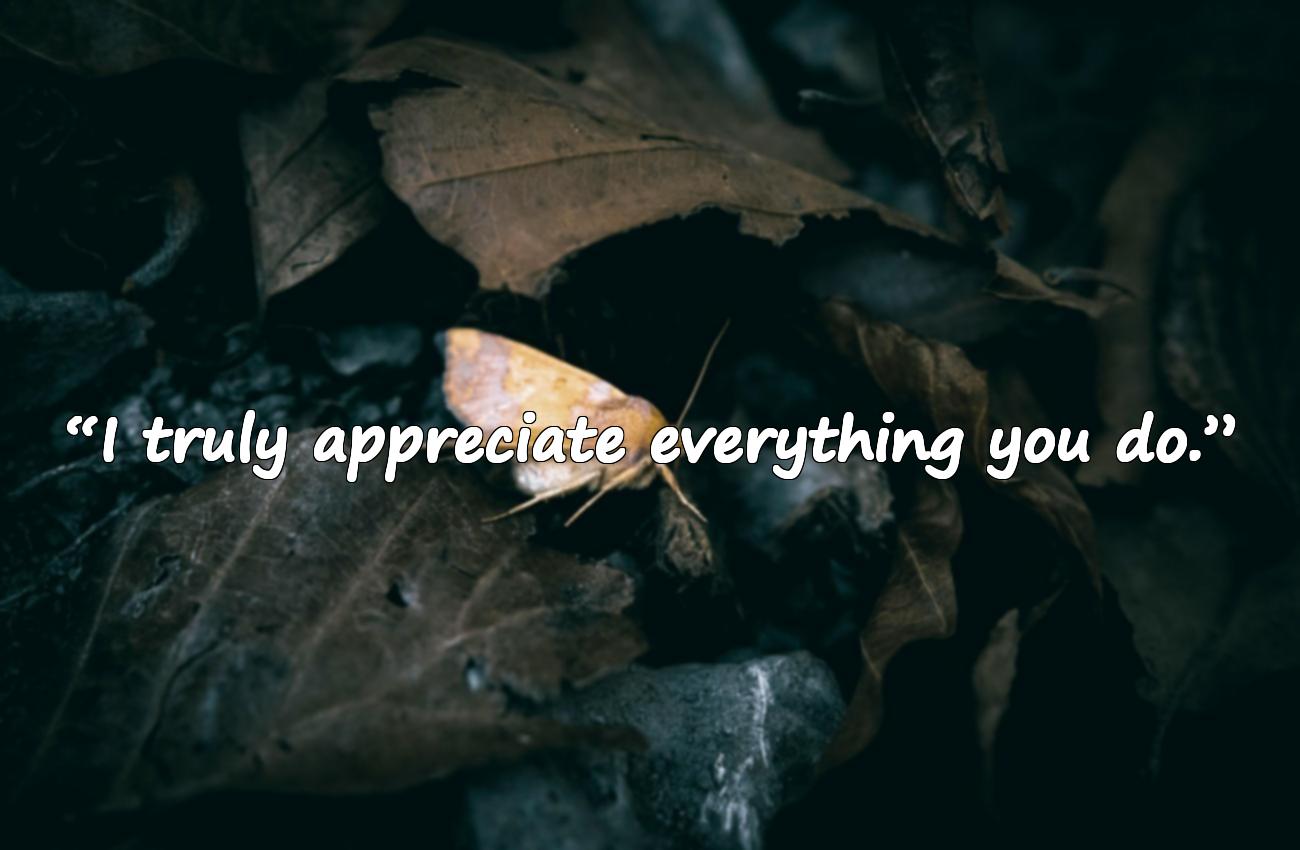 words of appreciation