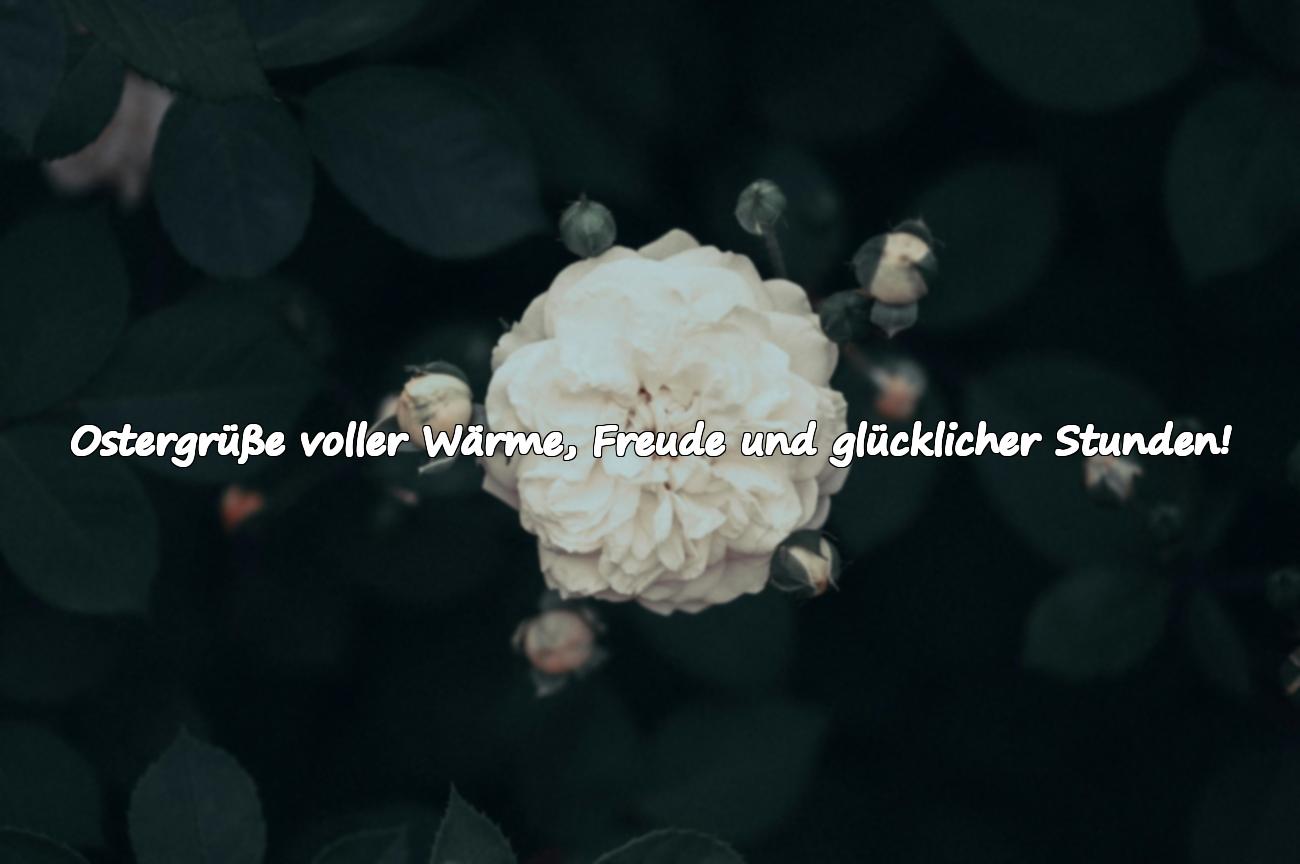 wünsche zu ostern