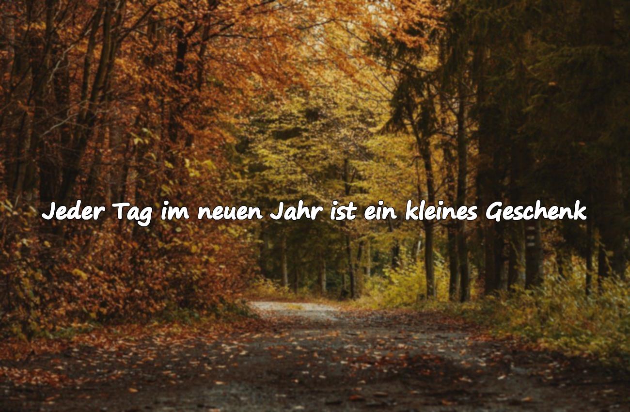 wünsche zum neuen jahr