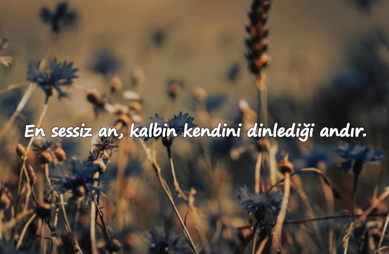 Yalnızlık ile İlgili Sözler