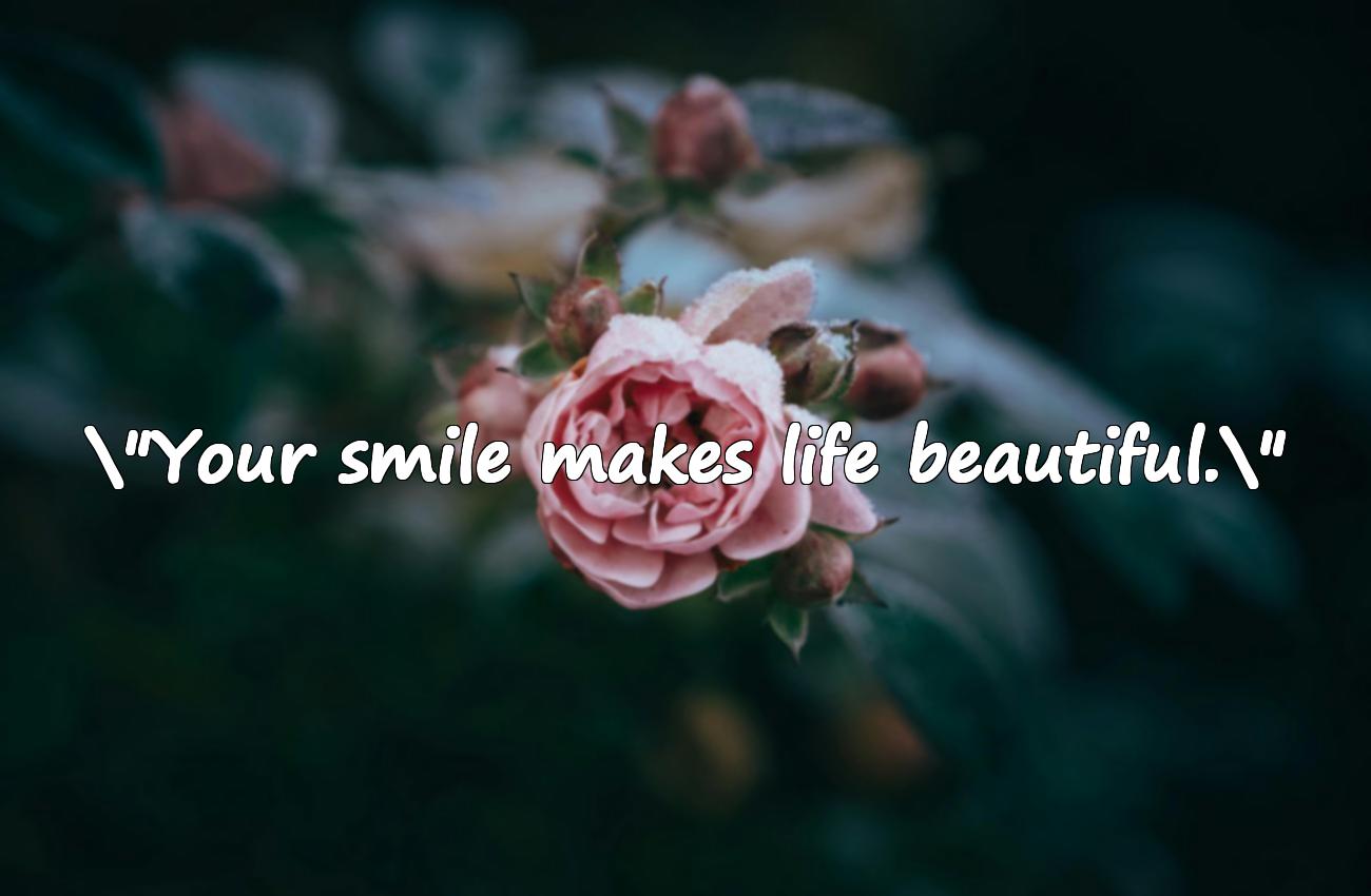 your smile quotes