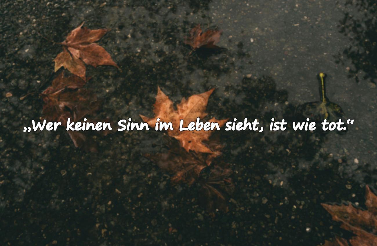 zitate albert einstein