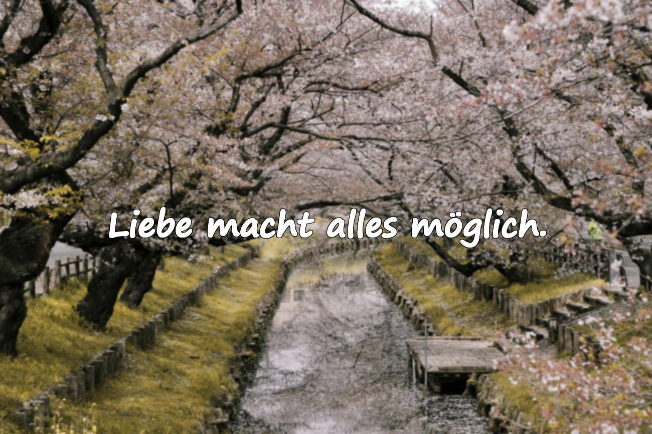 Zitate Liebe