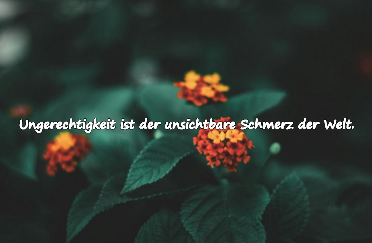 Zitate über Ungerechtigkeit