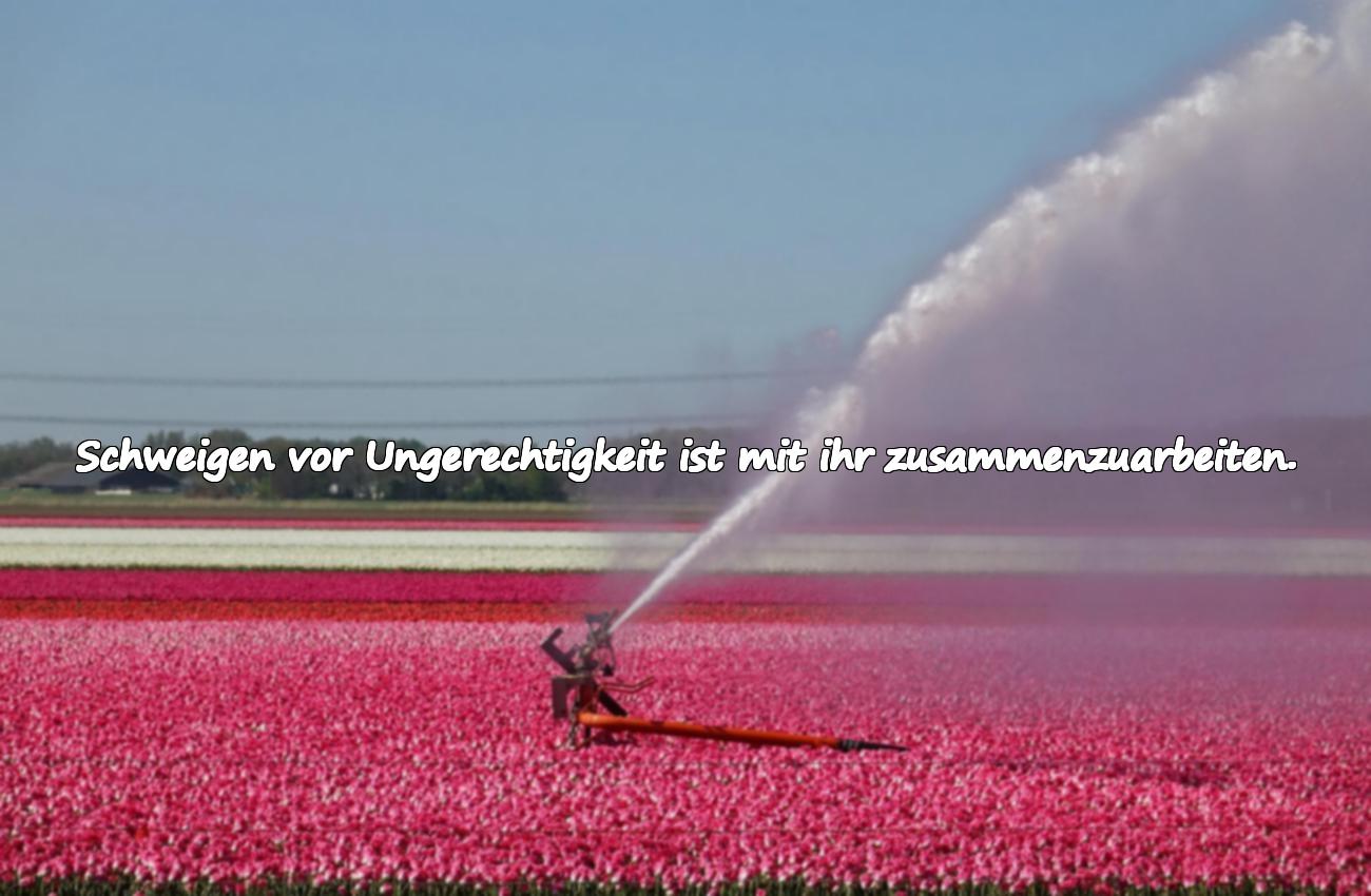 Zitate über Ungerechtigkeit