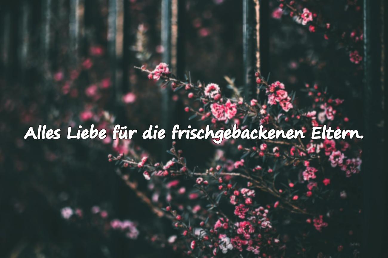 Zur Geburt Glückwünsche