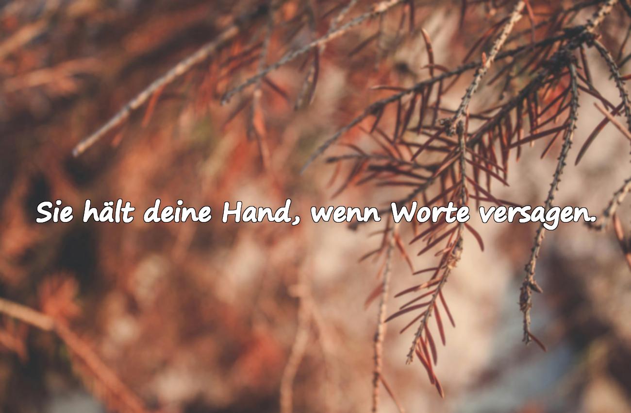 beste freundin spruch