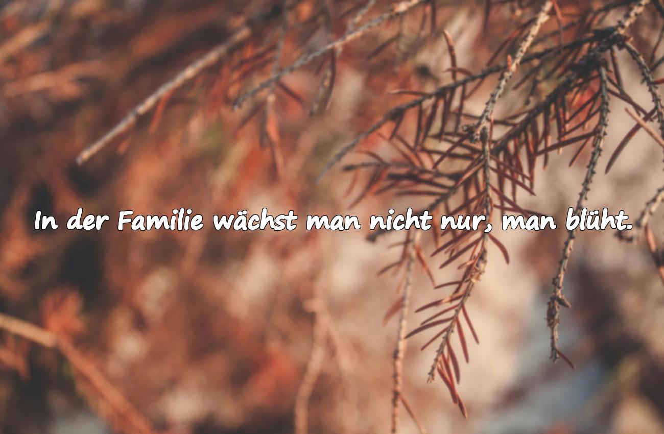 familie spruch