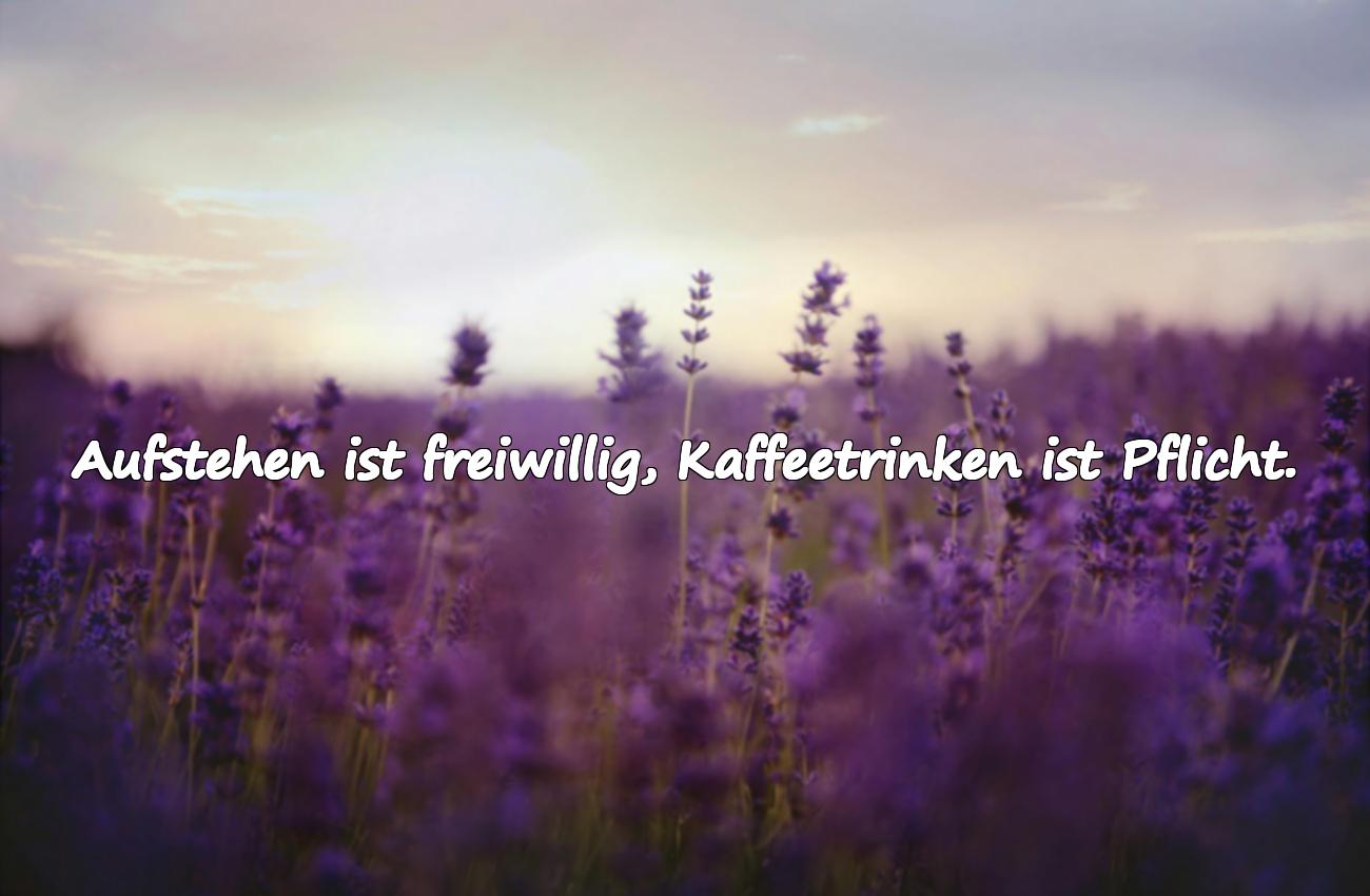 guten morgen spruch lustig