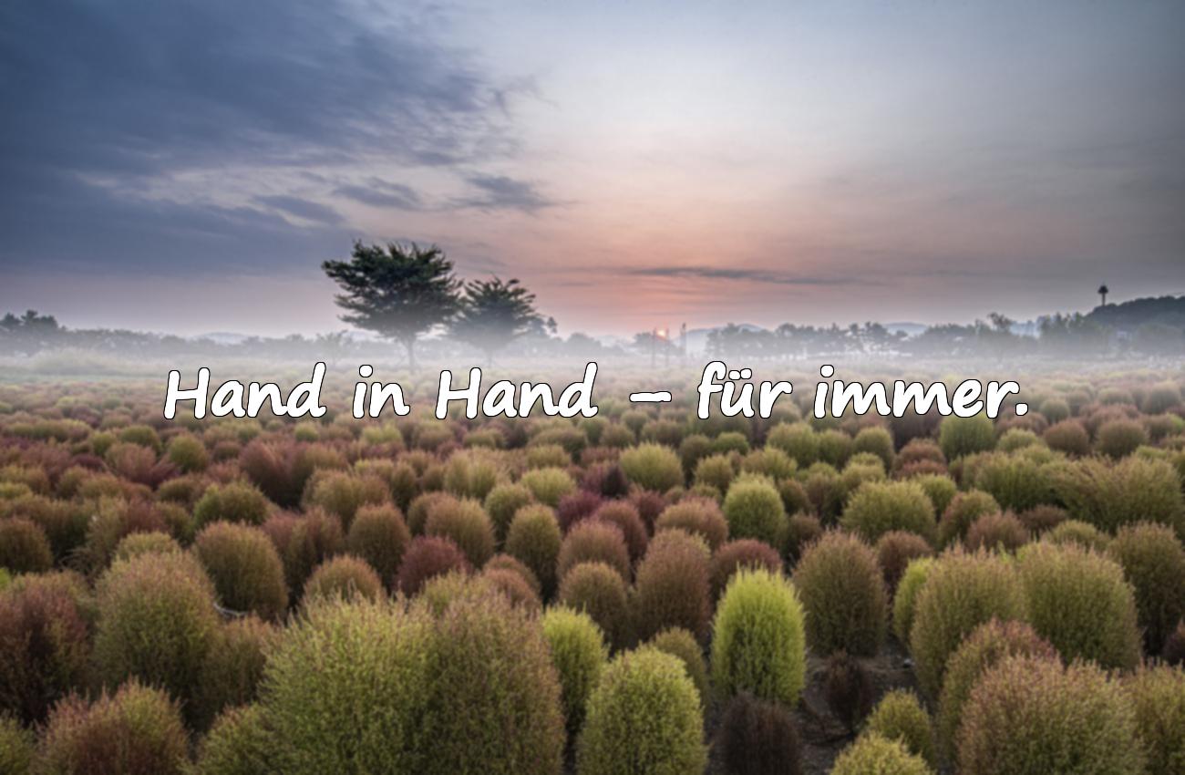 kurzer spruch hochzeit