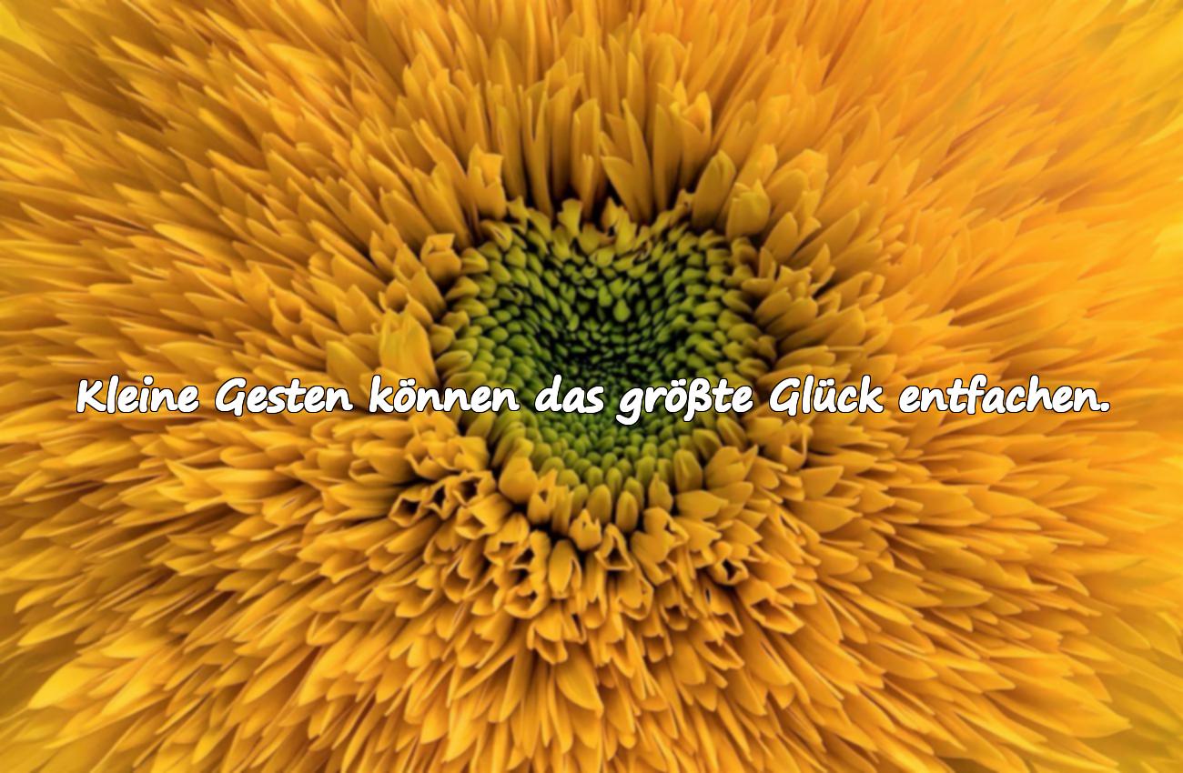 schöne sprüche leben