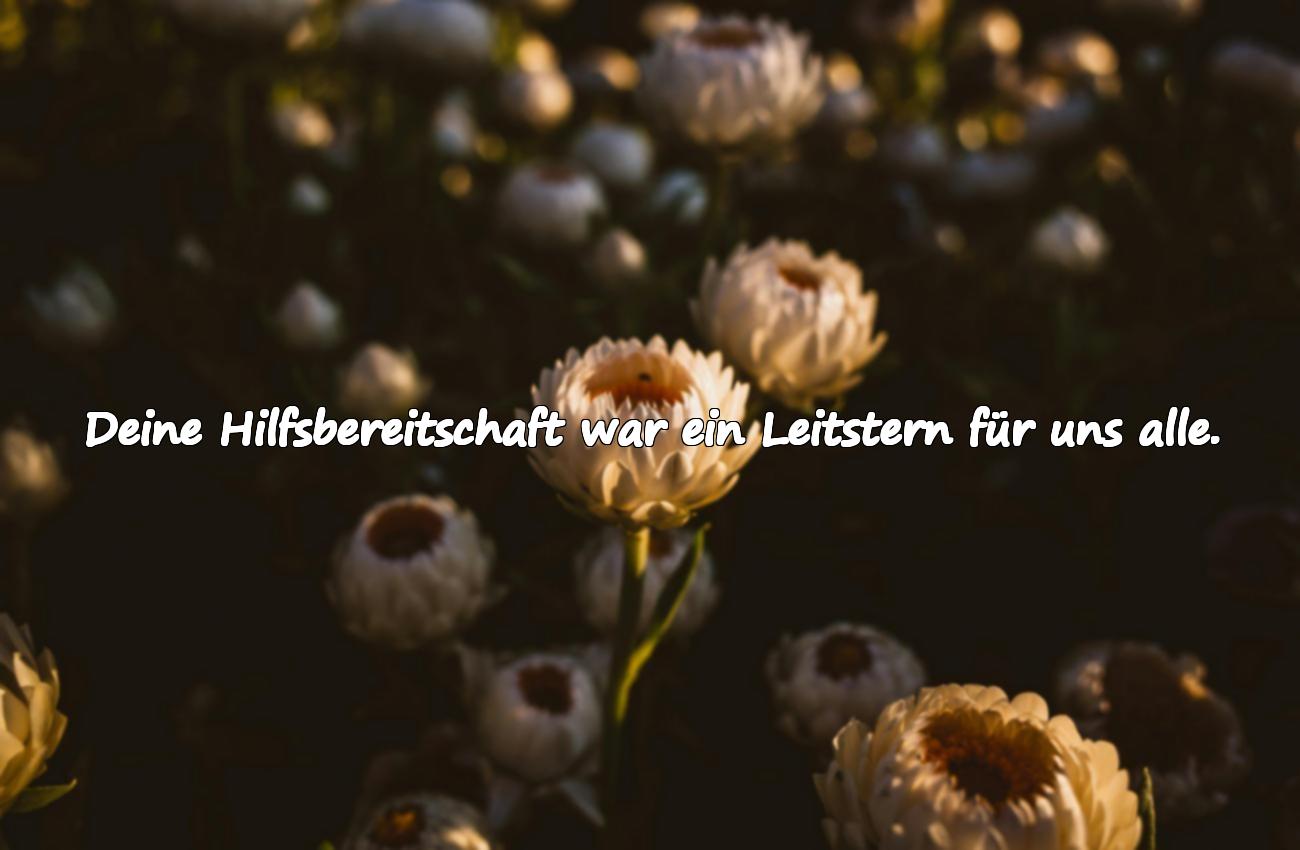 spruch abschied kollege danke