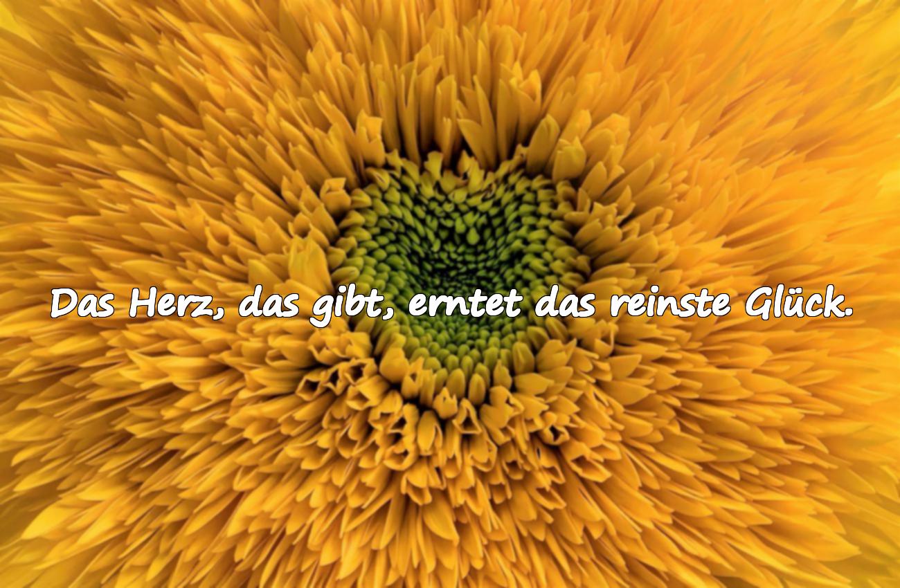 spruch glücklich