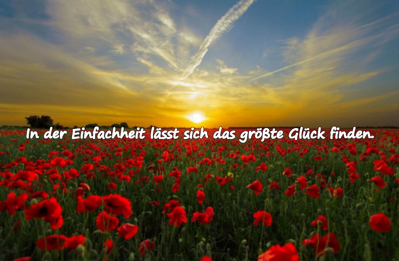 spruch über das leben