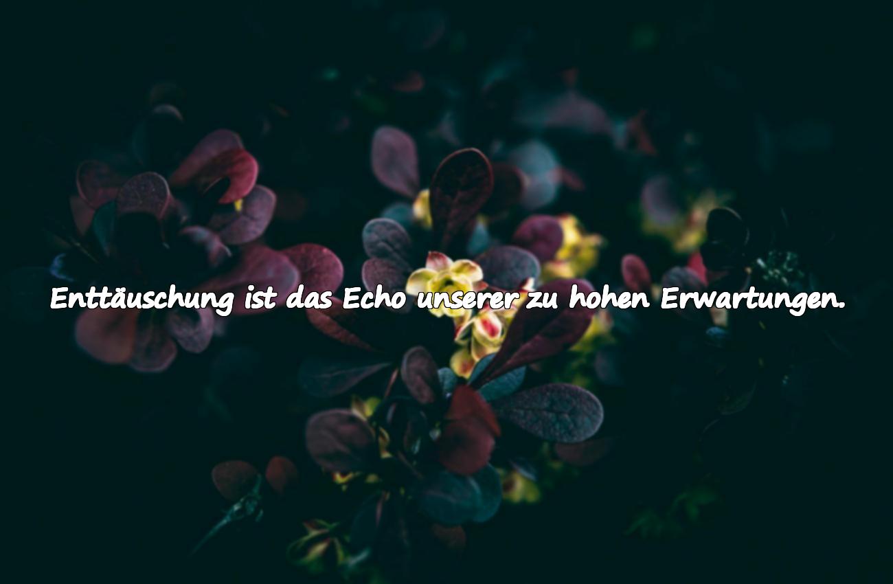 sprüche über enttäuschung