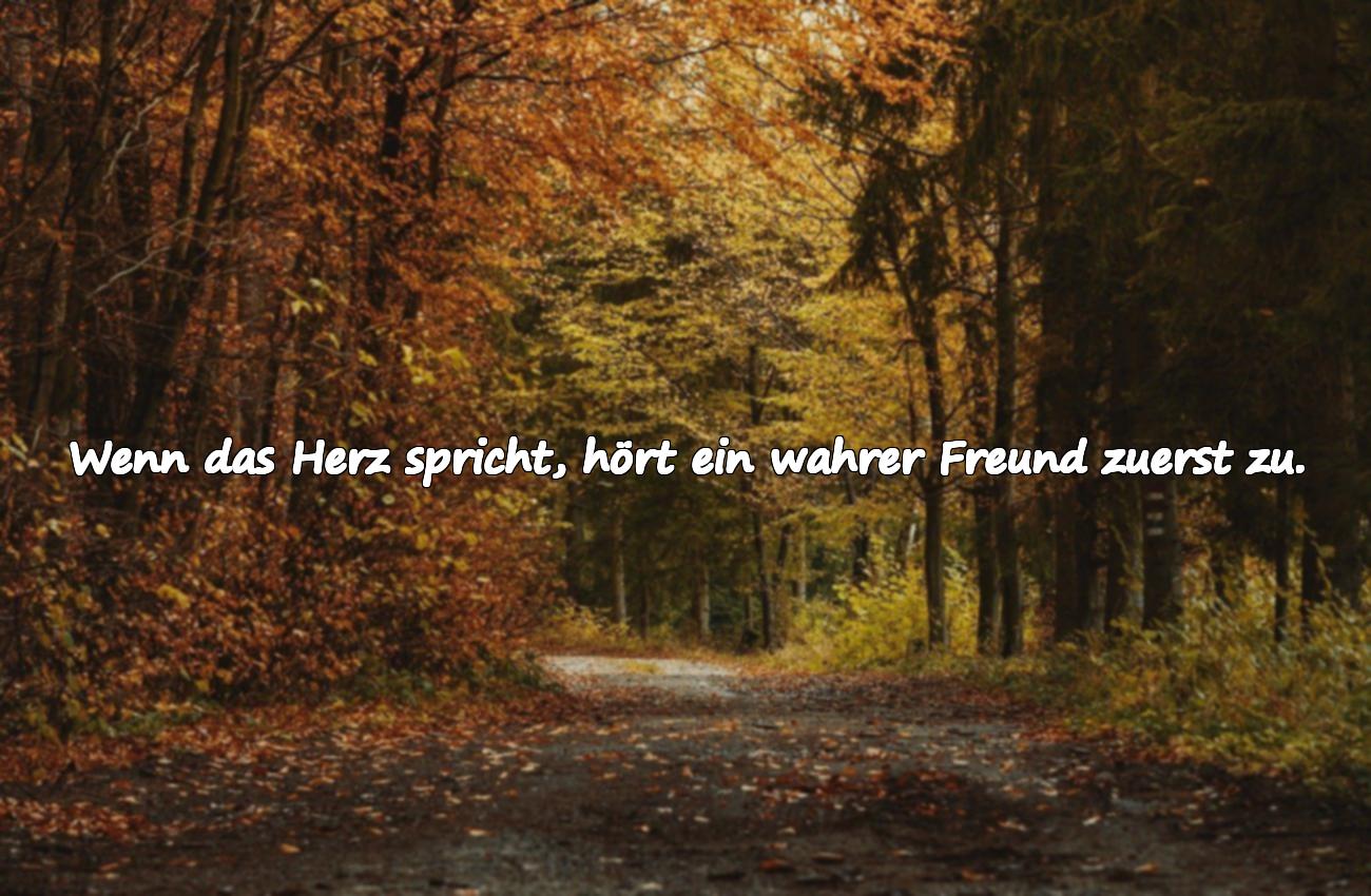 zitate freundschaft