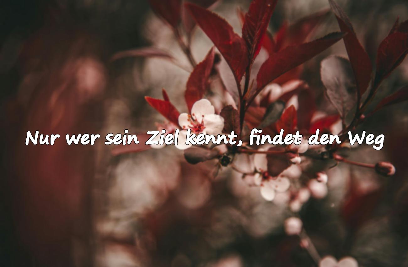 zitate von albert einstein