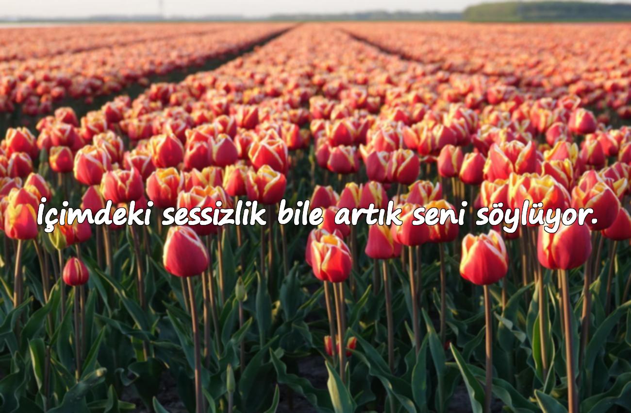 duygusal sözler kısa