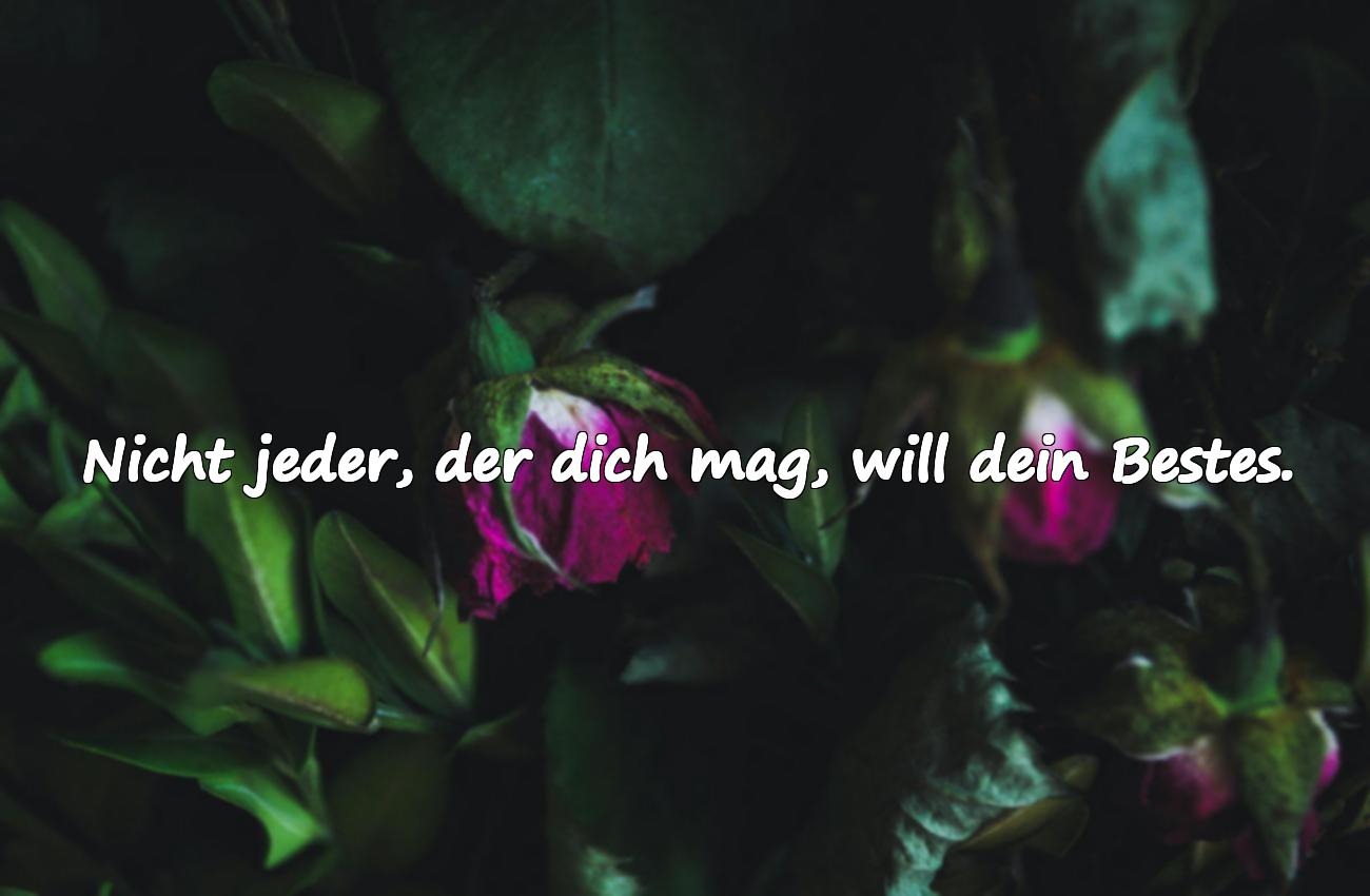 falsche menschen sprüche