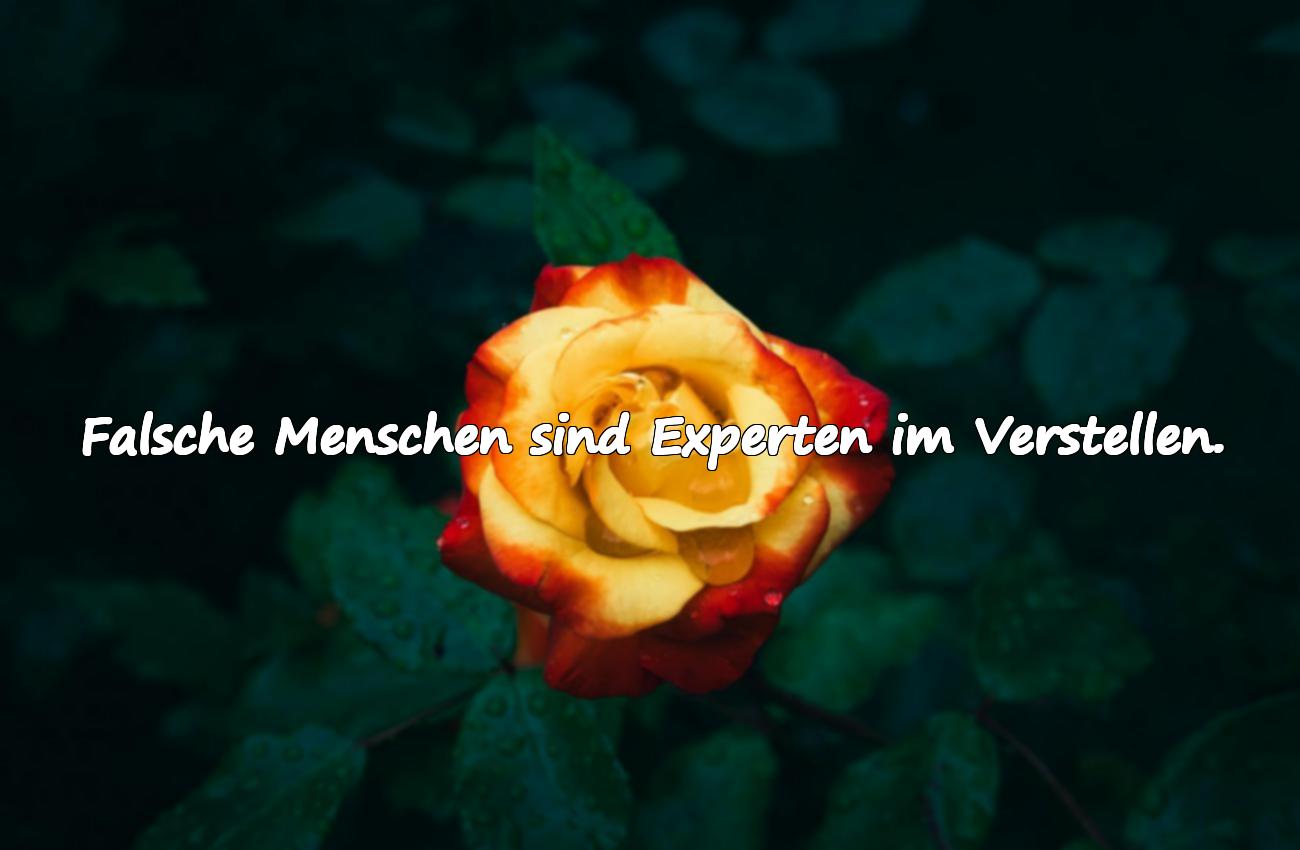 falsche menschen sprüche