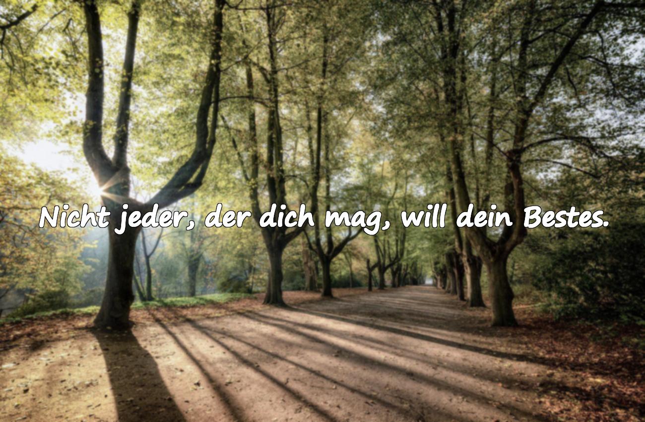 falsche menschen sprüche