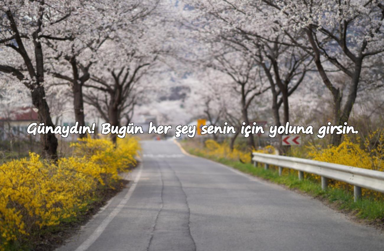 günaydın mesajları resimli