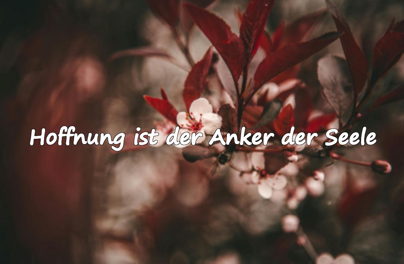 sprüche hoffnung