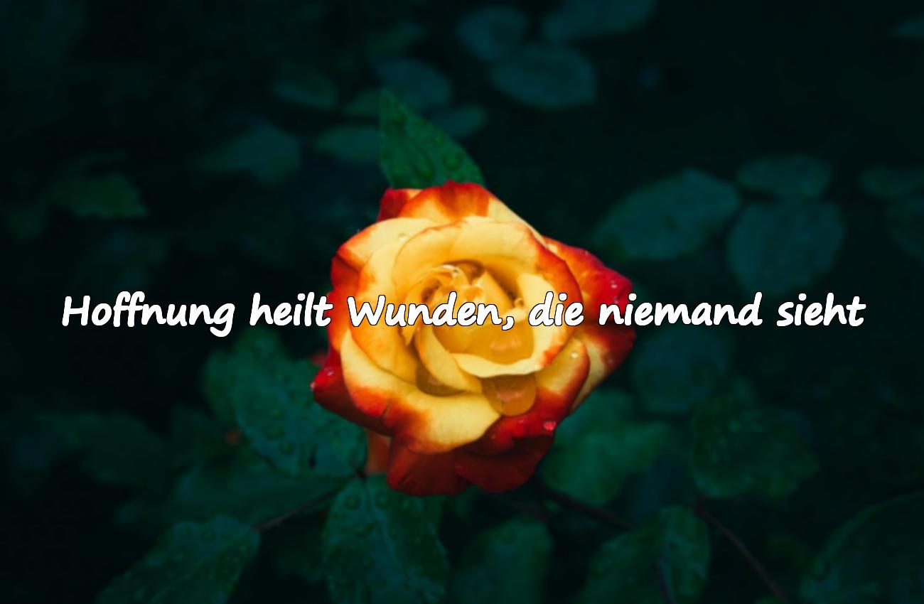 sprüche hoffnung
